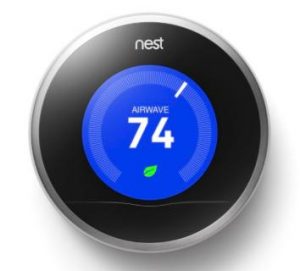 nest