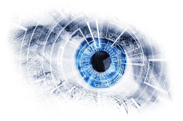 eye